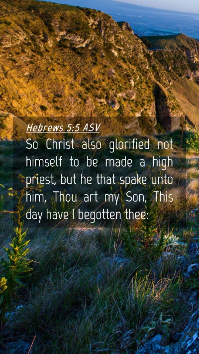 Picture 04 - Hebrews 5:5 ASV Mobile Phone Wallpaper - So Christ also glorified not himself to be made a - Mobile Bible Verse Wallpaper