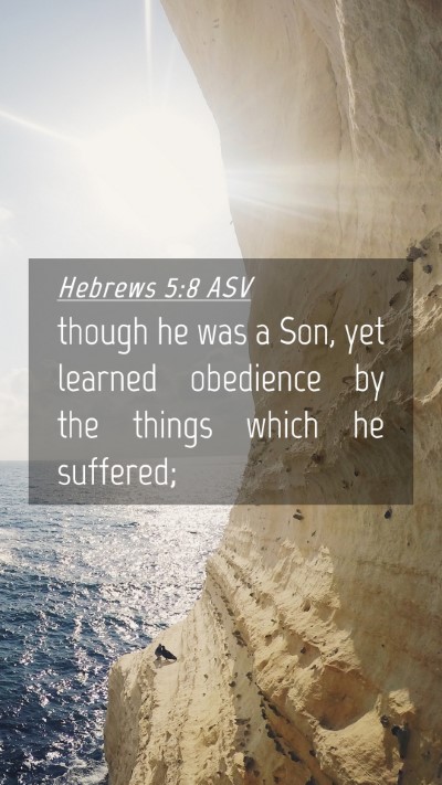 Picture 04 - Hebrews 5:8 ASV Mobile Phone Wallpaper - though he was a Son, yet learned obedience by the - Mobile Bible Verse Wallpaper