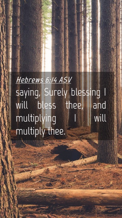 Picture 04 - Hebrews 6:14 ASV Mobile Phone Wallpaper - saying, Surely blessing I will bless thee, and - Mobile Bible Verse Wallpaper