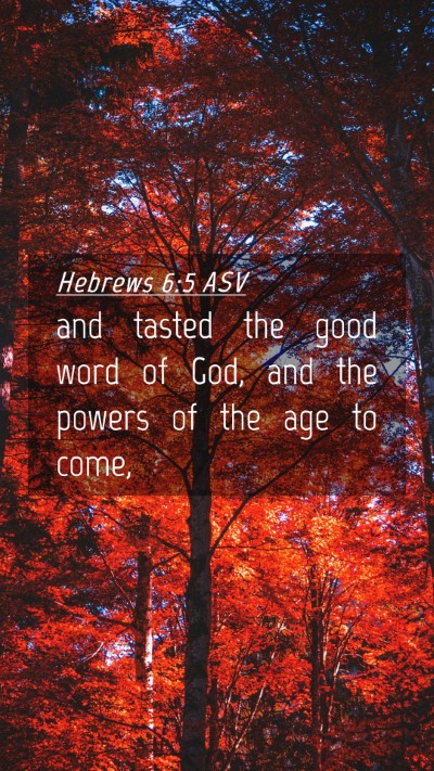 Picture 04 - Hebrews 6:5 ASV Mobile Phone Wallpaper - and tasted the good word of God, and the powers - Mobile Bible Verse Wallpaper