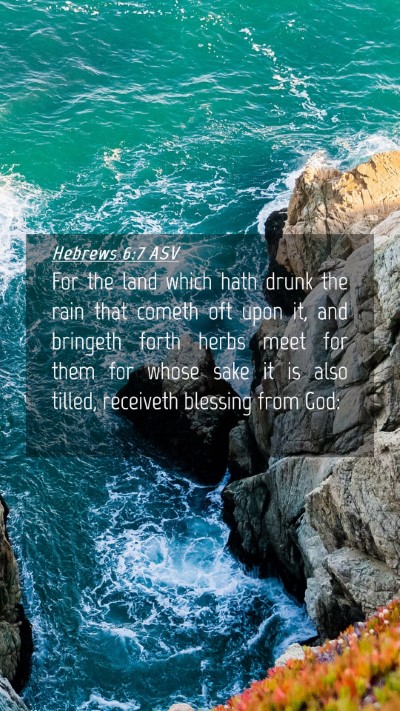 Picture 04 - Hebrews 6:7 ASV Mobile Phone Wallpaper - For the land which hath drunk the rain that - Mobile Bible Verse Wallpaper