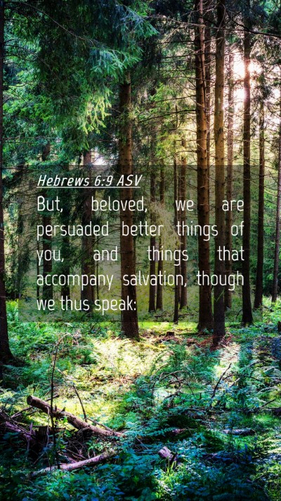 Picture 04 - Hebrews 6:9 ASV Mobile Phone Wallpaper - But, beloved, we are persuaded better things of - Mobile Bible Verse Wallpaper