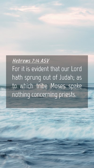 Picture 04 - Hebrews 7:14 ASV Mobile Phone Wallpaper - For it is evident that our Lord hath sprung out - Mobile Bible Verse Wallpaper