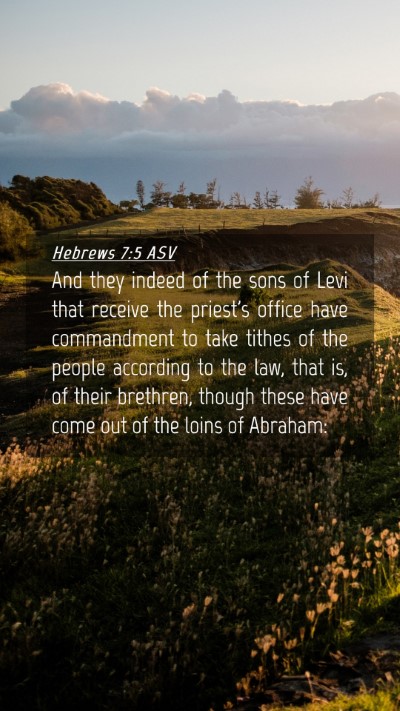 Picture 04 - Hebrews 7:5 ASV Mobile Phone Wallpaper - And they indeed of the sons of Levi that receive - Mobile Bible Verse Wallpaper