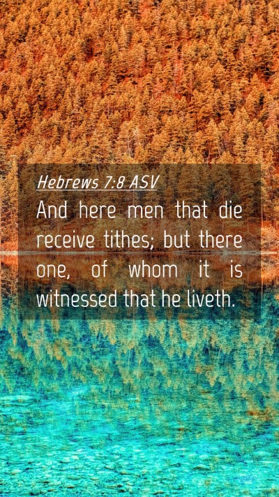 Picture 04 - Hebrews 7:8 ASV Mobile Phone Wallpaper - And here men that die receive tithes; but there - Mobile Bible Verse Wallpaper