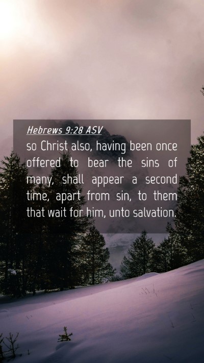 Picture 04 - Hebrews 9:28 ASV Mobile Phone Wallpaper - so Christ also, having been once offered to bear - Mobile Bible Verse Wallpaper