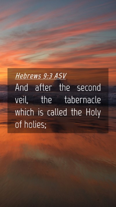 Picture 04 - Hebrews 9:3 ASV Mobile Phone Wallpaper - And after the second veil, the tabernacle which - Mobile Bible Verse Wallpaper
