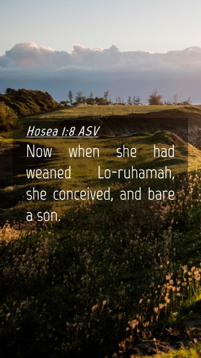 Picture 04 - Hosea 1:8 ASV Mobile Phone Wallpaper - Now when she had weaned Lo-ruhamah, she - Mobile Bible Verse Wallpaper