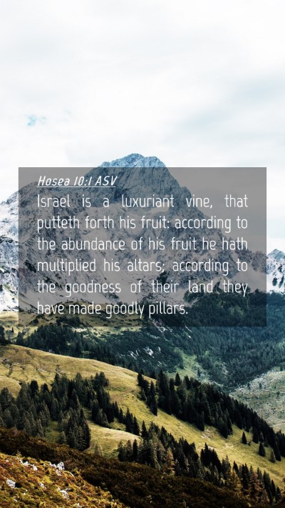 Picture 04 - Hosea 10:1 ASV Mobile Phone Wallpaper - Israel is a luxuriant vine, that putteth forth - Mobile Bible Verse Wallpaper