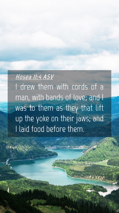 Picture 04 - Hosea 11:4 ASV Mobile Phone Wallpaper - I drew them with cords of a man, with bands of - Mobile Bible Verse Wallpaper