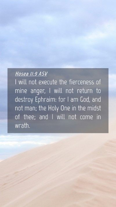 Picture 04 - Hosea 11:9 ASV Mobile Phone Wallpaper - I will not execute the fierceness of mine anger, - Mobile Bible Verse Wallpaper