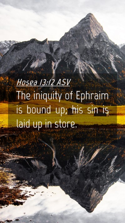 Picture 04 - Hosea 13:12 ASV Mobile Phone Wallpaper - The iniquity of Ephraim is bound up; his sin is - Mobile Bible Verse Wallpaper