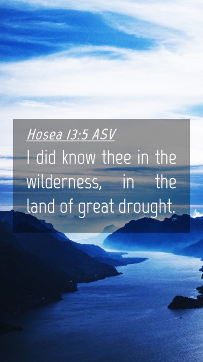 Picture 04 - Hosea 13:5 ASV Mobile Phone Wallpaper - I did know thee in the wilderness, in the land of - Mobile Bible Verse Wallpaper