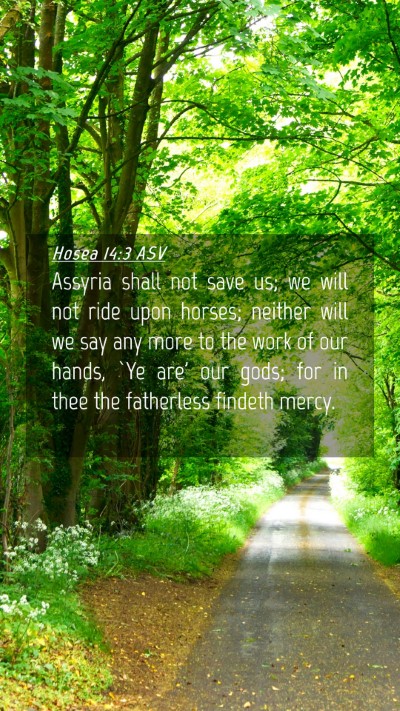 Picture 04 - Hosea 14:3 ASV Mobile Phone Wallpaper - Assyria shall not save us; we will not ride upon - Mobile Bible Verse Wallpaper