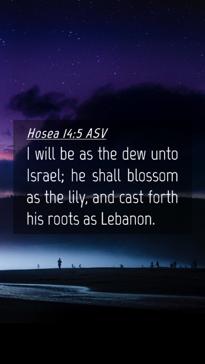 Picture 04 - Hosea 14:5 ASV Mobile Phone Wallpaper - I will be as the dew unto Israel; he shall - Mobile Bible Verse Wallpaper