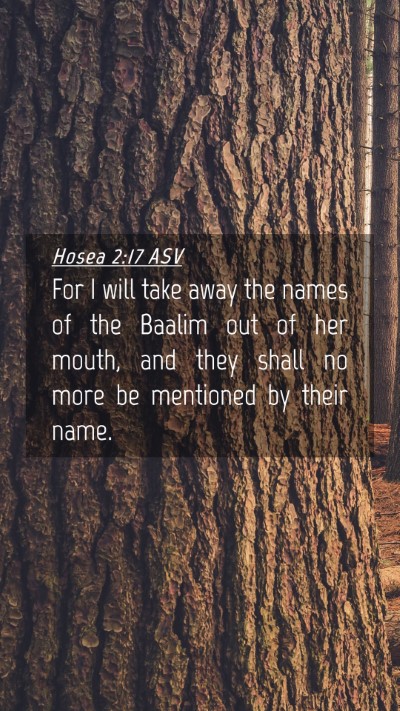 Picture 04 - Hosea 2:17 ASV Mobile Phone Wallpaper - For I will take away the names of the Baalim out - Mobile Bible Verse Wallpaper