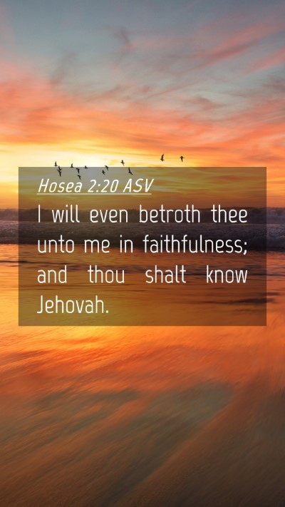 Picture 04 - Hosea 2:20 ASV Mobile Phone Wallpaper - I will even betroth thee unto me in faithfulness; - Mobile Bible Verse Wallpaper