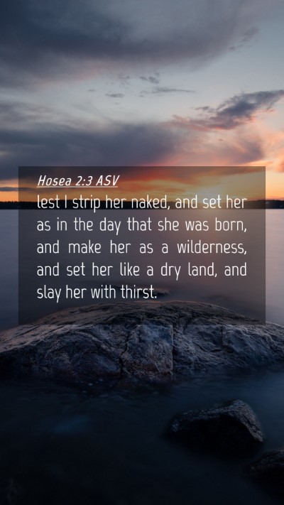 Picture 04 - Hosea 2:3 ASV Mobile Phone Wallpaper - lest I strip her naked, and set her as in the day - Mobile Bible Verse Wallpaper