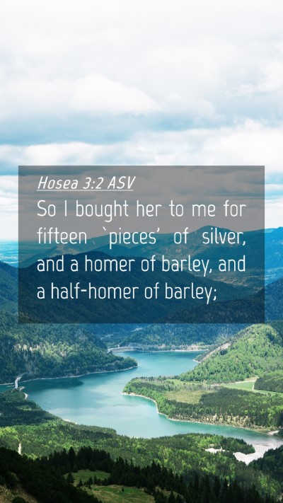 Picture 04 - Hosea 3:2 ASV Mobile Phone Wallpaper - So I bought her to me for fifteen `pieces' of - Mobile Bible Verse Wallpaper