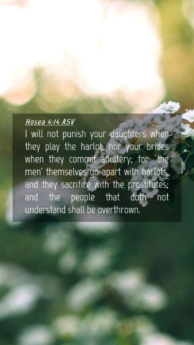 Picture 04 - Hosea 4:14 ASV Mobile Phone Wallpaper - I will not punish your daughters when they play - Mobile Bible Verse Wallpaper