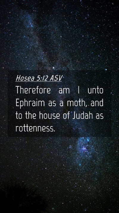 Picture 04 - Hosea 5:12 ASV Mobile Phone Wallpaper - Therefore am I unto Ephraim as a moth, and to the - Mobile Bible Verse Wallpaper