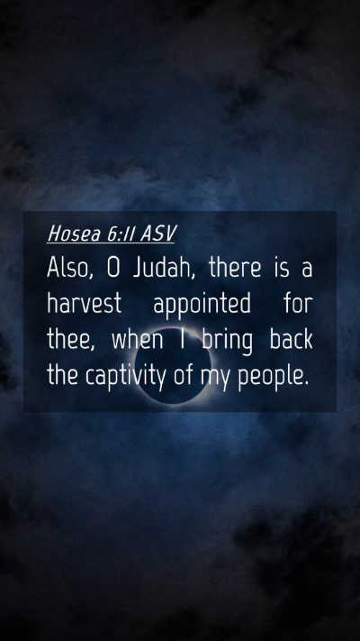 Picture 04 - Hosea 6:11 ASV Mobile Phone Wallpaper - Also, O Judah, there is a harvest appointed for - Mobile Bible Verse Wallpaper