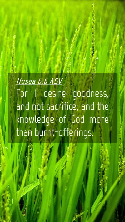 Picture 04 - Hosea 6:6 ASV Mobile Phone Wallpaper - For I desire goodness, and not sacrifice; and the - Mobile Bible Verse Wallpaper