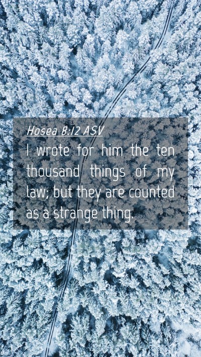 Picture 04 - Hosea 8:12 ASV Mobile Phone Wallpaper - I wrote for him the ten thousand things of my - Mobile Bible Verse Wallpaper
