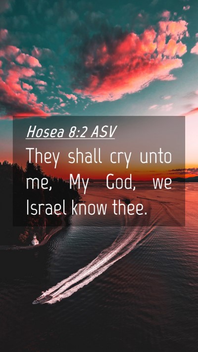 Picture 04 - Hosea 8:2 ASV Mobile Phone Wallpaper - They shall cry unto me, My God, we Israel know - Mobile Bible Verse Wallpaper