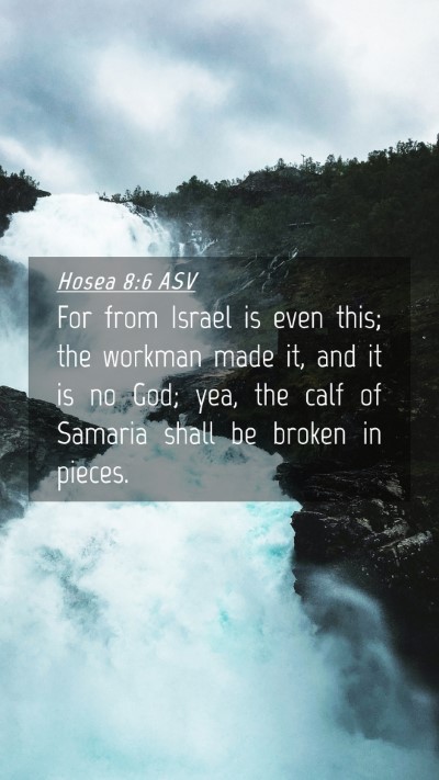 Picture 04 - Hosea 8:6 ASV Mobile Phone Wallpaper - For from Israel is even this; the workman made - Mobile Bible Verse Wallpaper