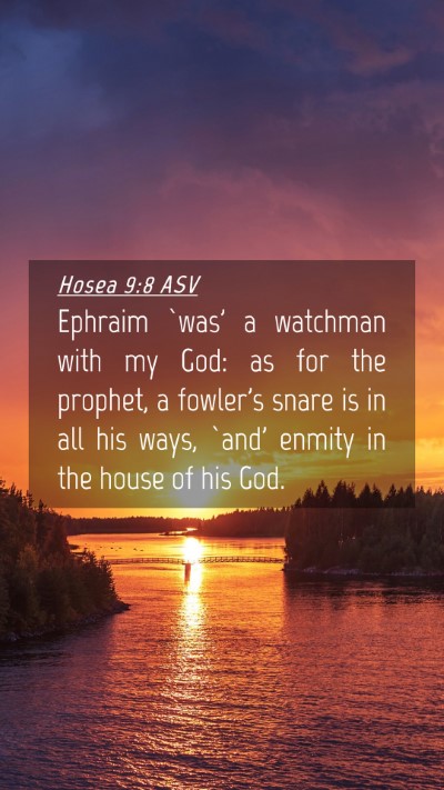 Picture 04 - Hosea 9:8 ASV Mobile Phone Wallpaper - Ephraim `was' a watchman with my God: as for the - Mobile Bible Verse Wallpaper