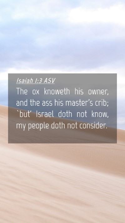 Picture 04 - Isaiah 1:3 ASV Mobile Phone Wallpaper - The ox knoweth his owner, and the ass his - Mobile Bible Verse Wallpaper