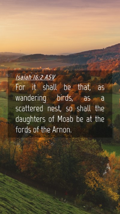 Picture 04 - Isaiah 16:2 ASV Mobile Phone Wallpaper - For it shall be that, as wandering birds, as a - Mobile Bible Verse Wallpaper