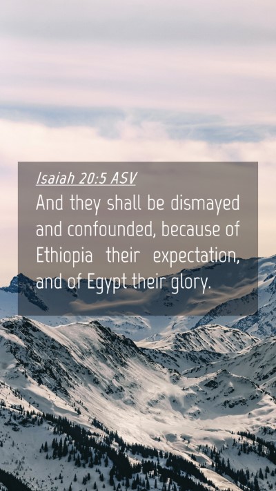 Picture 04 - Isaiah 20:5 ASV Mobile Phone Wallpaper - And they shall be dismayed and confounded, - Mobile Bible Verse Wallpaper
