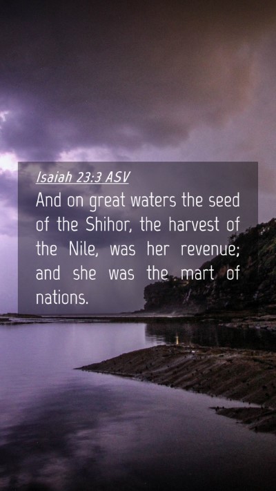 Picture 04 - Isaiah 23:3 ASV Mobile Phone Wallpaper - And on great waters the seed of the Shihor, the - Mobile Bible Verse Wallpaper