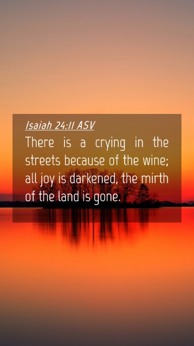 Picture 04 - Isaiah 24:11 ASV Mobile Phone Wallpaper - There is a crying in the streets because of the - Mobile Bible Verse Wallpaper