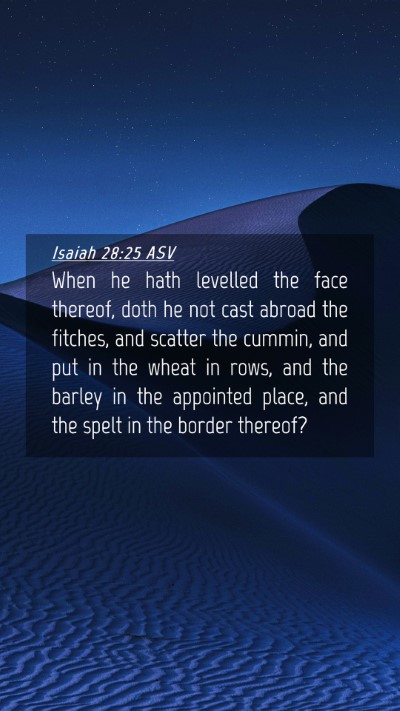 Picture 04 - Isaiah 28:25 ASV Mobile Phone Wallpaper - When he hath levelled the face thereof, doth he - Mobile Bible Verse Wallpaper