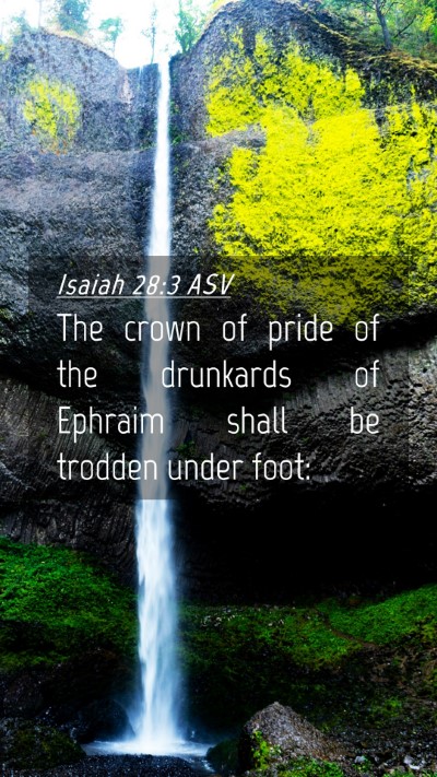 Picture 04 - Isaiah 28:3 ASV Mobile Phone Wallpaper - The crown of pride of the drunkards of Ephraim - Mobile Bible Verse Wallpaper