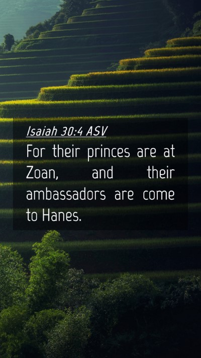 Picture 04 - Isaiah 30:4 ASV Mobile Phone Wallpaper - For their princes are at Zoan, and their - Mobile Bible Verse Wallpaper