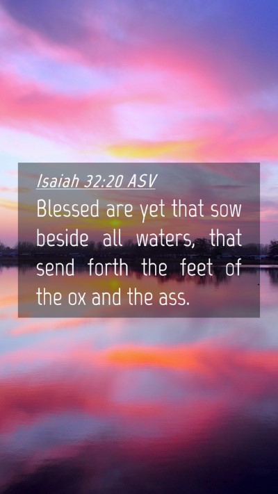 Picture 04 - Isaiah 32:20 ASV Mobile Phone Wallpaper - Blessed are yet that sow beside all waters, that - Mobile Bible Verse Wallpaper