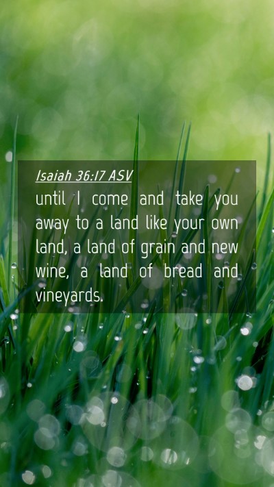 Picture 04 - Isaiah 36:17 ASV Mobile Phone Wallpaper - until I come and take you away to a land like - Mobile Bible Verse Wallpaper