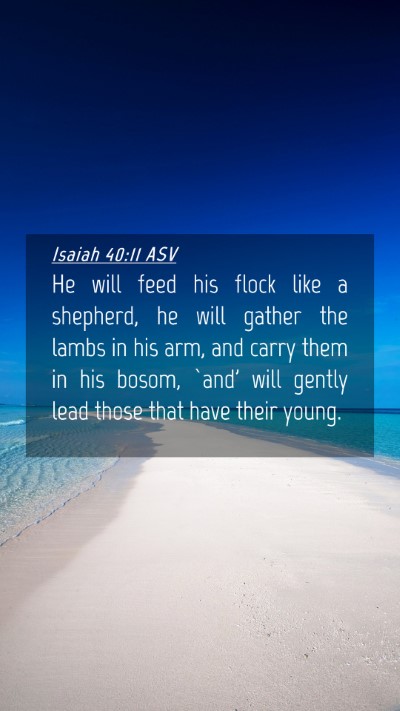 Picture 04 - Isaiah 40:11 ASV Mobile Phone Wallpaper - He will feed his flock like a shepherd, he will - Mobile Bible Verse Wallpaper