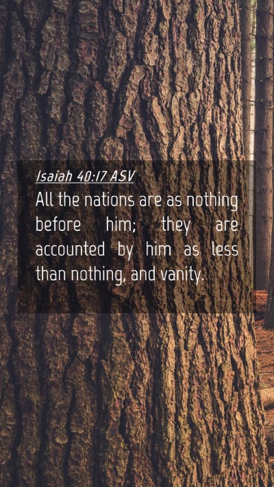 Picture 04 - Isaiah 40:17 ASV Mobile Phone Wallpaper - All the nations are as nothing before him; they - Mobile Bible Verse Wallpaper