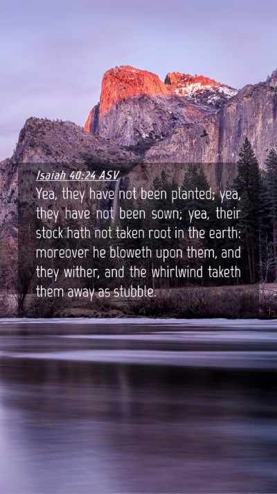 Picture 04 - Isaiah 40:24 ASV Mobile Phone Wallpaper - Yea, they have not been planted; yea, they have - Mobile Bible Verse Wallpaper