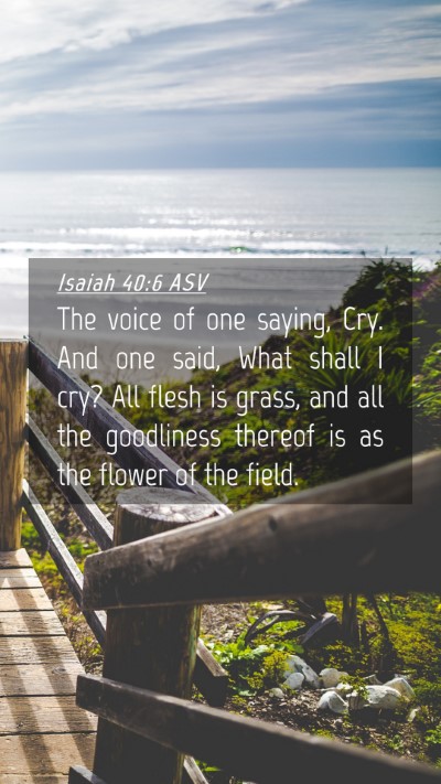 Picture 04 - Isaiah 40:6 ASV Mobile Phone Wallpaper - The voice of one saying, Cry. And one said, What - Mobile Bible Verse Wallpaper