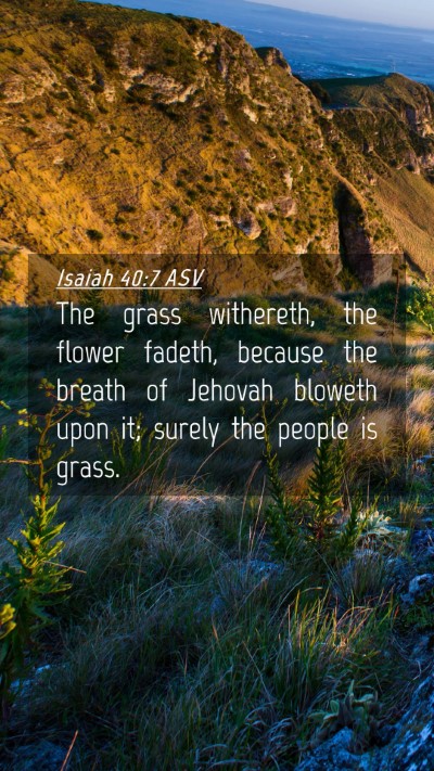 Picture 04 - Isaiah 40:7 ASV Mobile Phone Wallpaper - The grass withereth, the flower fadeth, because - Mobile Bible Verse Wallpaper