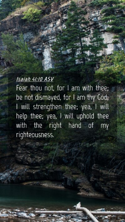 Picture 04 - Isaiah 41:10 ASV Mobile Phone Wallpaper - Fear thou not, for I am with thee; be not - Mobile Bible Verse Wallpaper