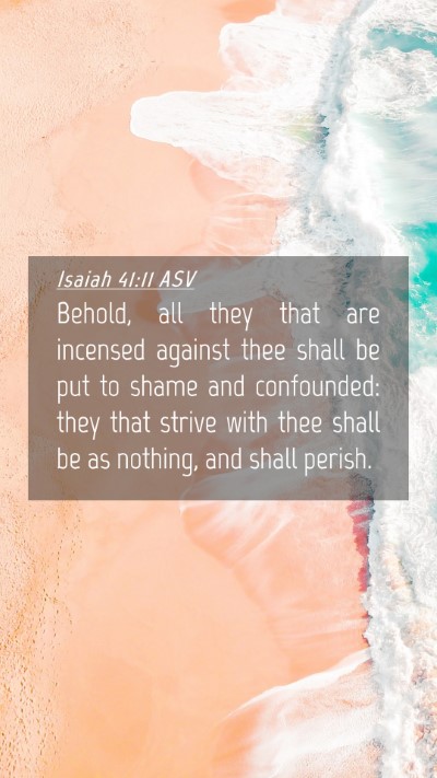 Picture 04 - Isaiah 41:11 ASV Mobile Phone Wallpaper - Behold, all they that are incensed against thee - Mobile Bible Verse Wallpaper