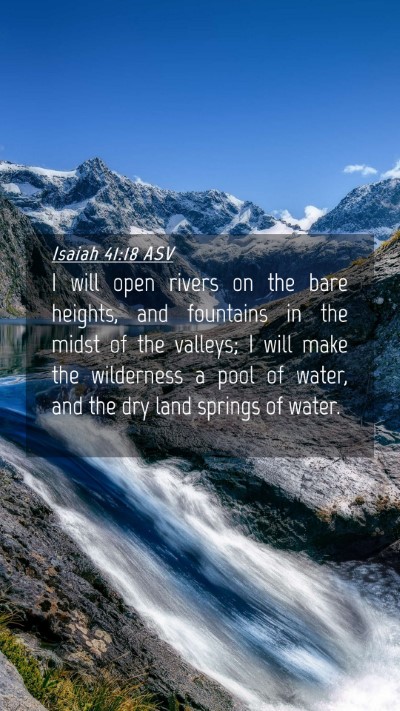 Picture 04 - Isaiah 41:18 ASV Mobile Phone Wallpaper - I will open rivers on the bare heights, and - Mobile Bible Verse Wallpaper