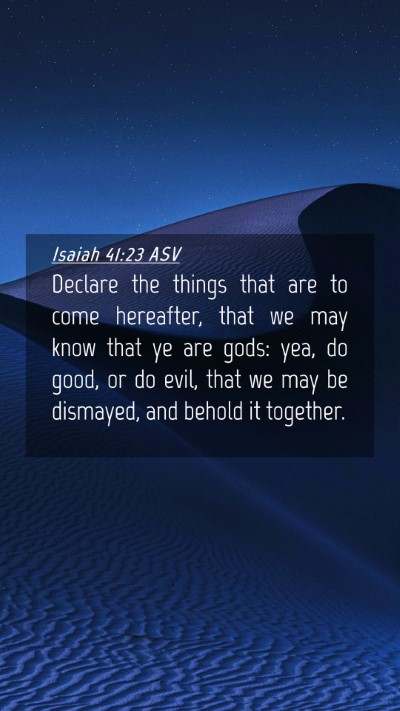 Picture 04 - Isaiah 41:23 ASV Mobile Phone Wallpaper - Declare the things that are to come hereafter, - Mobile Bible Verse Wallpaper